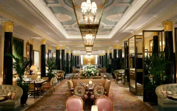 Hot Deal: The Dorchester